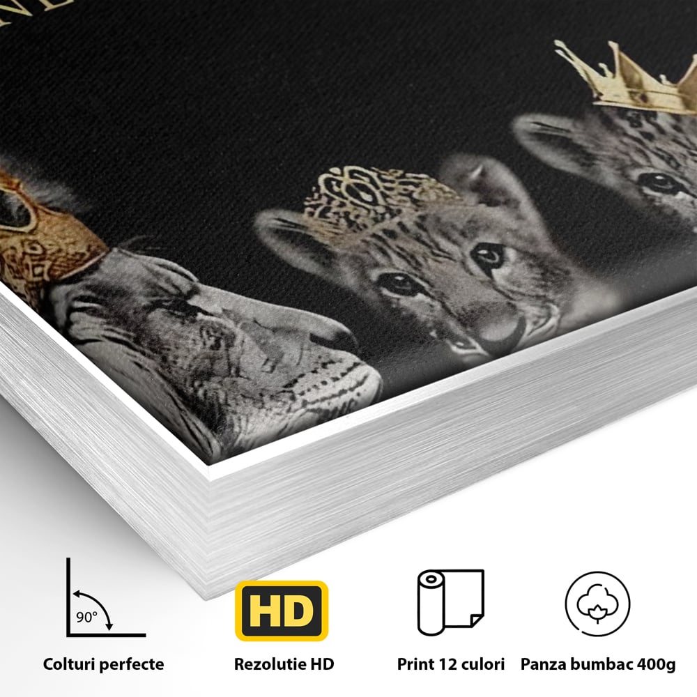 Tablou Canvas Premium, LuxCanva® C1264, The Family Portrait, Relaxare, Unity, Portrait, Living Room, Culori Vibrante