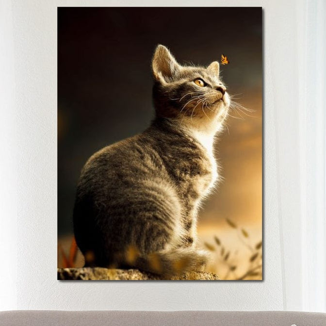 tablou canvas cu o pisica mica privind un fluture, pe fundal natural in lumina calda de apus