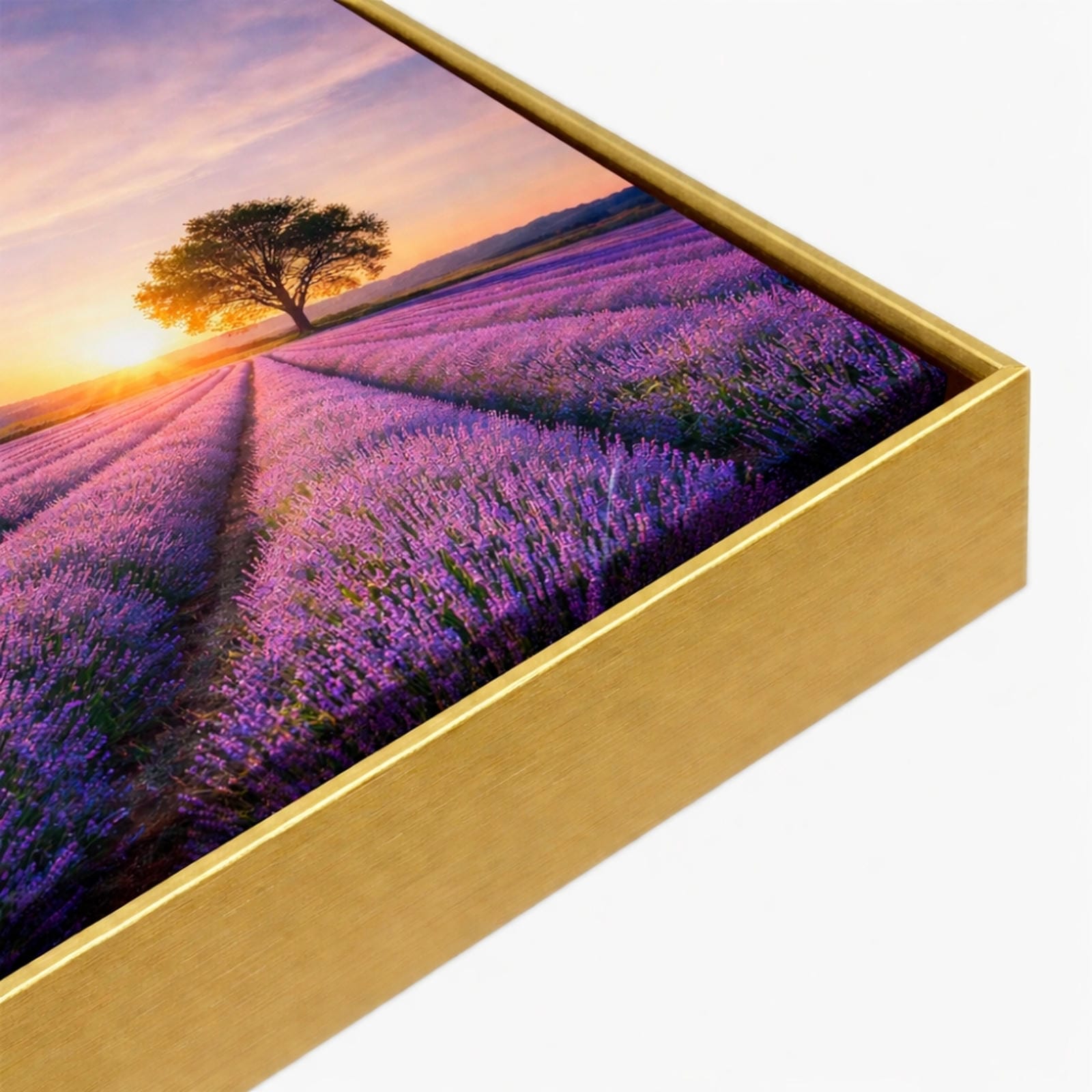 Tablou canvas Rama aluminiu argintiu